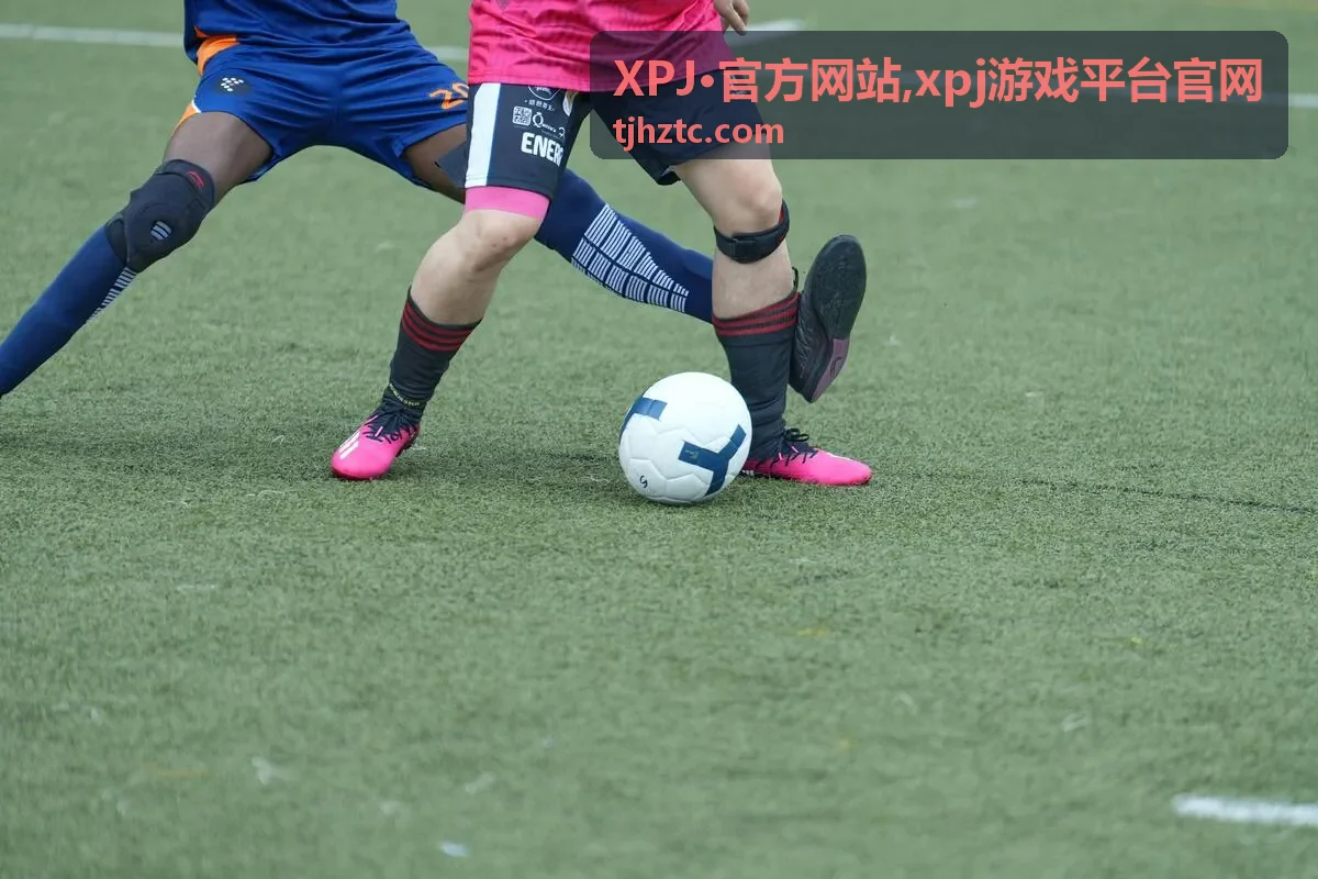XPJ·官方网站平台信息卡片